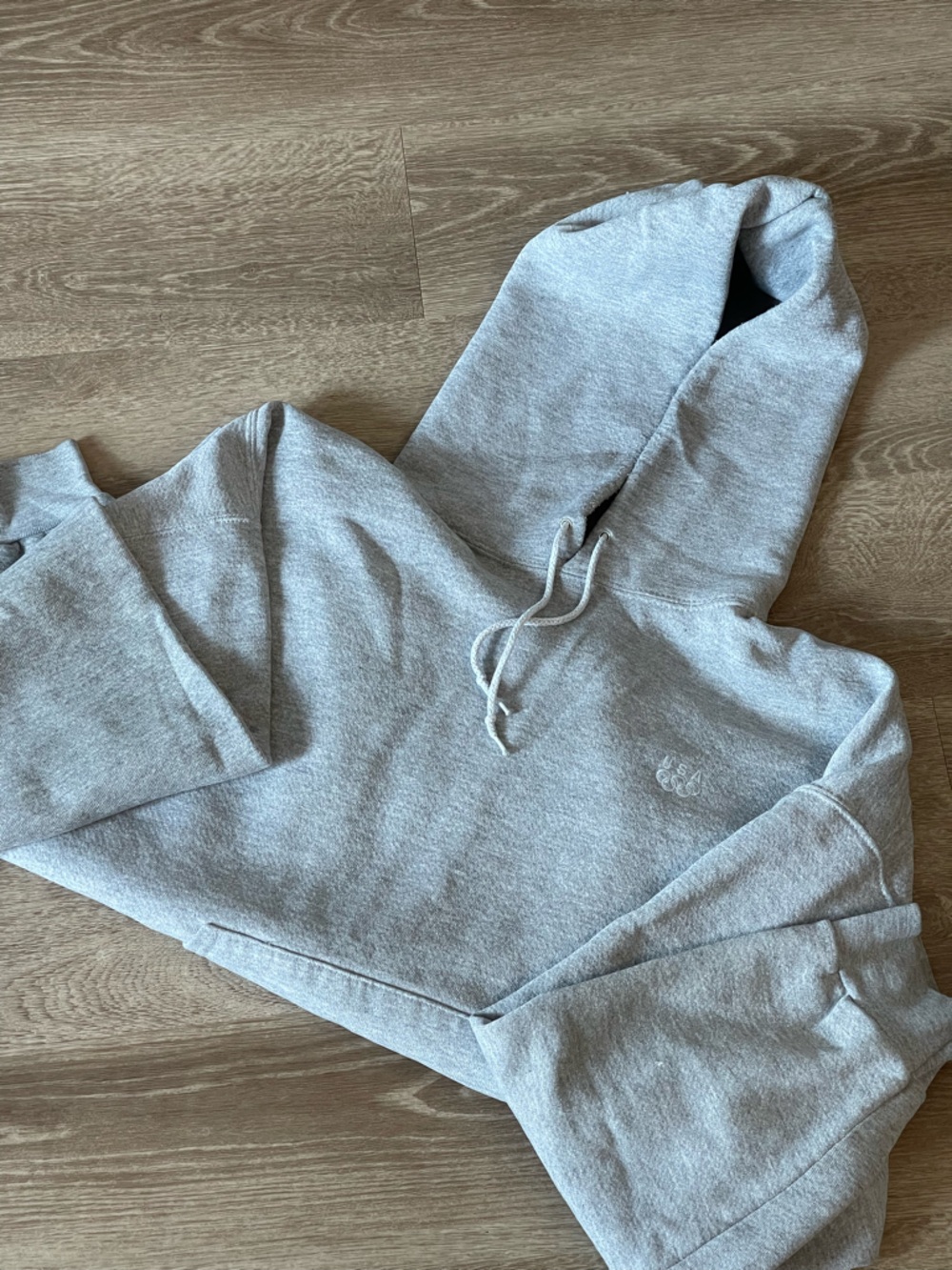 USA Olympics grey hoodie